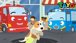 A Puppy Fell Into a Manhole! | Tayo Animal Rescue Team | Rescue Team Episodes | Tayo the Little Bus