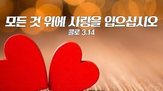 2023년 대림 특강 | 모든 것 위에 사랑을 입으십시오 | 이준 대건안드레아 신부