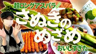 アスパラ界の超新星！さぬきのめざめを食す！