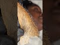 female full beard one strip removal recap