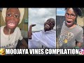 Moojaya | Zim Vines Compilation Part 13 (2025) | Baba Elvis Skits | Zim Tiktok Comedy Videos