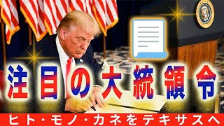 ﻿﻿﻿﻿﻿﻿﻿﻿﻿﻿﻿『注目の大統領令』(2025/1/20)