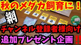 秋のメダカ飼育に！メダカ網職人オーダーメイド網を使ってメダカを掬って欲しい！更に追加プレゼント企画開催決定！第４回プレゼント企画当選者様発表！安らぎAQUAちゃんねる