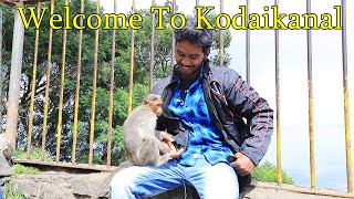 கொடைக்கானல் | மலைகளின் இளவரசி | Beauty of Kodaikanal | #kodaikanaltrip #02