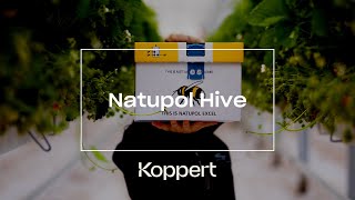 NATUPOL HIVE- Our Eco-friendly bee hive