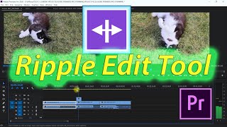 RIPPLE EDIT TOOL ADOBE PREMIERE PRO | QUICK TIP