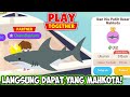 Play together best moment mancing hiu putih besar langsung mahkota