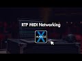 RTP MIDI Networking: Pro Tips for Using Auracle X