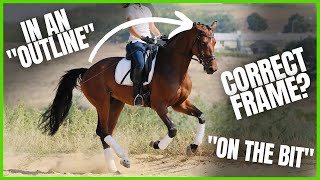 Does YOUR HORSE Have a CORRECT OUTLINE & FRAME? From The Complete Online Dressage Course