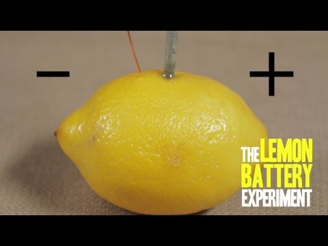 How to Make a Lemon Battery How to Make a Lemon Battery