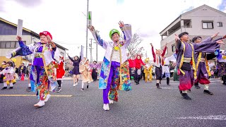 [4K] にっぽん酒盛会　瑞浪バサラカーニバル 2024（バサカニ） 公園通線南会場 (投げ入れタイム) (前方)