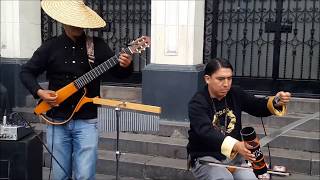 Âm nhạc đường phố (Tây Ban Nha) - J.XV.