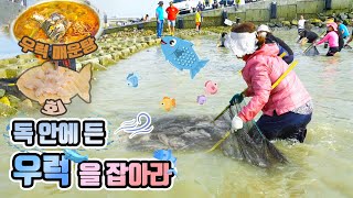 독 안에 든!🌊 우럭🐟을 잡아라 [6시N내고향] / KBS대전 방송