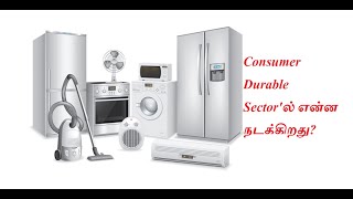 Consumer Durable Sector'ல் என்ன நடக்கிறது?