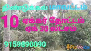 திண்டுக்கல் மாவட்டம் நத்தம் தாலுகா 10 ஏக்கர் பரப்பளவில் அமைந்துள்ள தோட்டம் விற்பனைக்கு