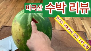 $2.99 미국산 수박 리뷰 - 한번도 먹어보지 못한 수박 설정 #모든 일에 접근하는 방식 ‘차근차근 하나씩 건너뛰지 말고…’