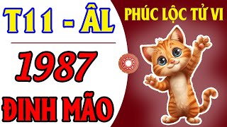 Bản Mệnh Tuổi Mão 1987 Trong Tháng 11 Âm Lịch Năm Giáp Thìn 2024