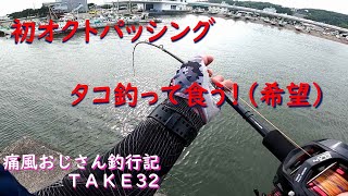 【大磯港】新鮮なタコ釣って食いたいんじゃ(痛風おじさん釣行記take32)