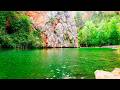 Healing Frequency Peaceful River & Birdsong 🌳Begin Your Day with POSITIVE Spring Morning Vibrations