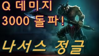 Q한방에 3000 데미지가 가능?? 해, 나서스 정글 (Nasus Jungle) - 똘킹 게임영상