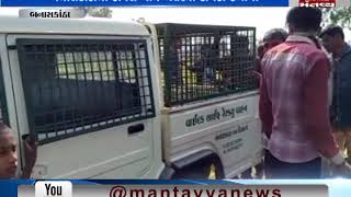 Banaskantha: A Leopard was seen in Davas Village | Mantavya News