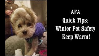 AFA Quick Tip - Winter Safety: Keep Warm!