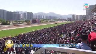 香港新聞｜無綫新聞｜24/01/23 要聞｜ [現場]沙田馬場舉行賀歲賽馬現場氣氛熱烈 將全日開放公眾人士入場