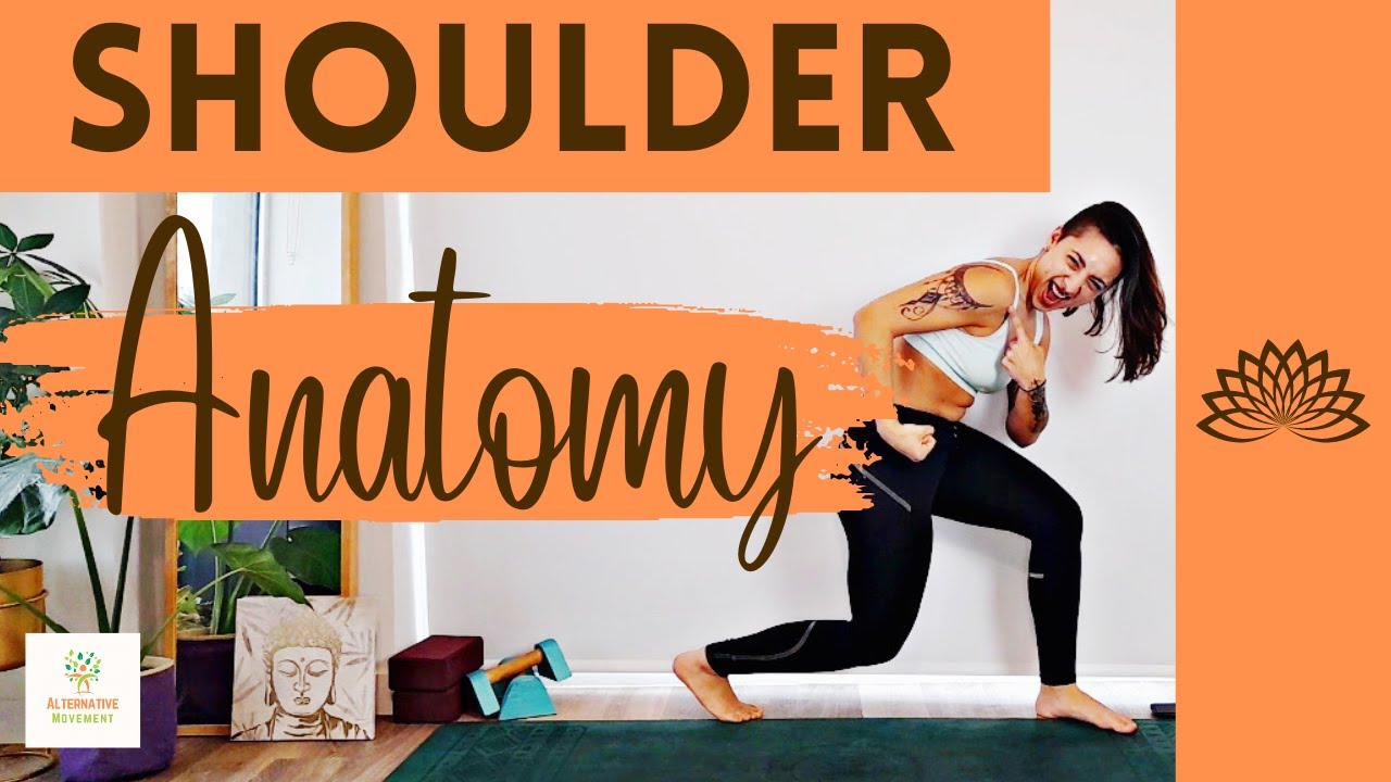 Basic Shoulder Anatomy Youtube