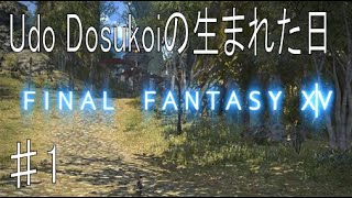 【FF14】FF14初心者という体で最初から実況：パート1