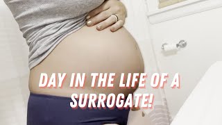 Day in the Life of a Surrogate/Content Creator