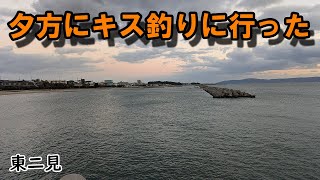 アジが釣れないのでキスを泳がせようとキス釣りに行った 11/30 東二見