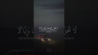 سورة العنكبوت | أية ٥٩ ألــــي ٦٠ | القارئ #عبدالرحمن_مسعد #quran #mohabfadell