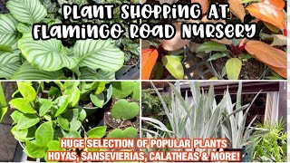 Plant Shopping at Flamingo Road Nursery || HUGE SELECTION OF POPULAR PLANTS