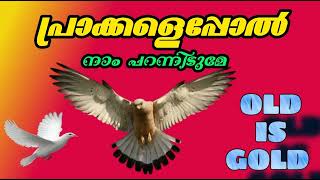 പ്രാക്കളെപ്പോൽ നാം പറന്നിടുമേ /Prakkaleppol Nam Parannidume / Malayalam Christian Song