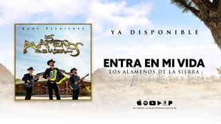 Entra En Mi Vida - Los Alameños De La Sierra (Audio)