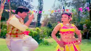 Chadti Jawani Hindi Remix Video Song