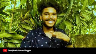 Ambili muthumani vignesh krishna interview Retelecast | അമ്പിളി അറസ്റ്റിൽ വിശ്വസിക്കാനാവുന്നില്ല