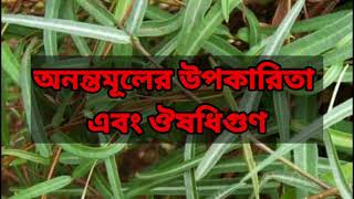 অনন্তমূলের উপকারিতা এবং ঔষধি গুন আয়ুর্বেদিক কবিরাজি চিকিৎসাl/@Medical and Medicine Knowledge