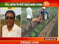 peekpani nandurbar farmers on chili production