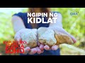 PINANINIWALAANG “NGIPIN NG KIDLAT” NG ISANG PAMILYA, MAY DALANG SWERTE?! | Kapuso Mo, Jessica Soho