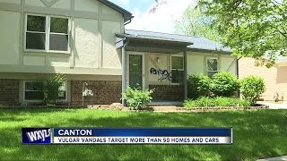 Vandals target Canton neighborhood with vulgar graffiti