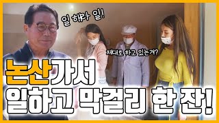 [찾아가는 막걸리TV] EP.03 양촌양조장편