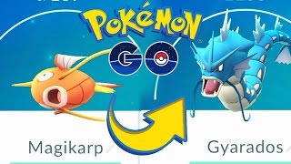 Pokemon GO 终于集齐400鲤鱼王糖果，关于伊布进化的彩蛋