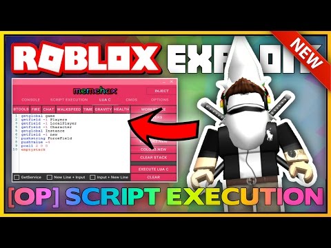 Bug Hunting And Exploit Development 1 Finding Flaws Using - lua c scripts for roblox