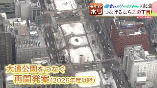 変わるサッポロ  大通公園も再開発？市道廃止で賛否  2022年4月5日放送 もうひとホリ