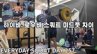 매일 스쿼트 257일차 : 하이바, 로우바 스쿼트 미드풋 차이(22.8.6.토)