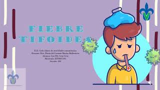 ¿Qué es la fiebre tifoidea?