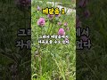 깨달음이란 무엇인가 명상 깨달음 선 마인드풀니스 meditation