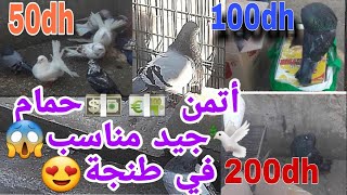 توليعة😍 في سوق الحمام🕊 طنجة كسبرطا أتمن💶💵 جيد مناسب😱😱❤