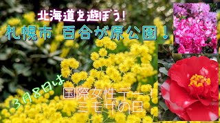 百合が原公園に行ってきました！ミモザの日は国際女性デー！Love Local 【北海道を遊ぼう vlog】